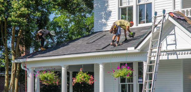 Best Roof Gutter Cleaning  in Byhalia, MS