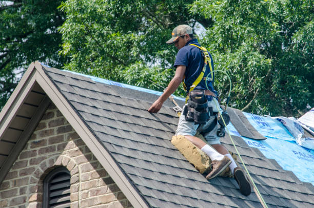 Best Residential Roofing Contractor  in Byhalia, MS